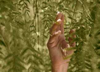 Economia circolare… Sempre più Eco Friendly! Science Blog Economia Circolare